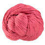 Cascade 128 Superwash Yarn - 300 Holly Berry