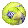 Jimmy Beans Wool A La Carte Indie Dyer Yarn - '19 January - Apple Fiber Studio Gala - First Spring Kits photo