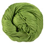 Berroco Modern Cotton - 1659 Elms Yarn photo