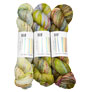 Hedgehog Fibres Jimmy Beans Wool Exclusive Potluck Color Fade Kit - Marsh Yarn photo