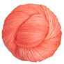 Madelinetosh Twist Light - Grapefruit Yarn photo