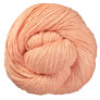 Universal Yarns Wool Pop - 620 Apricot Slush Yarn photo