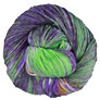Madelinetosh Tosh DK - Aurora Australis Yarn photo
