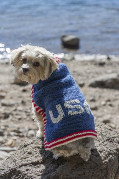 Stitch Mountain - Team USA Dog Sweater Free Knitting Pattern