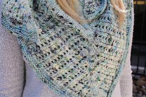Cassidy's Little Colonnade Shawl