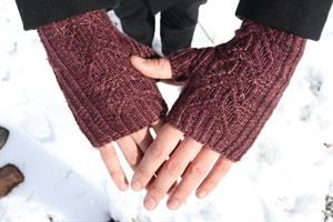 Take Heart Trunk Show Caswell Bay Fingerless Mitts & Hat Set