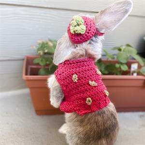 Elizabeth's Strawberry Costume Pet Sweater