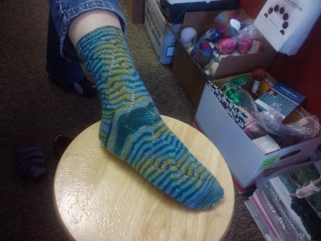 Sara's Wanida socks