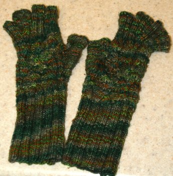 Autumn's Fingerless Gloves