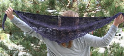 Casey's Traveling Woman Shawl