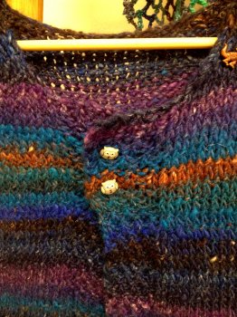 Bethany's Noro Cap-Sleeved Cardi Vest for Penne