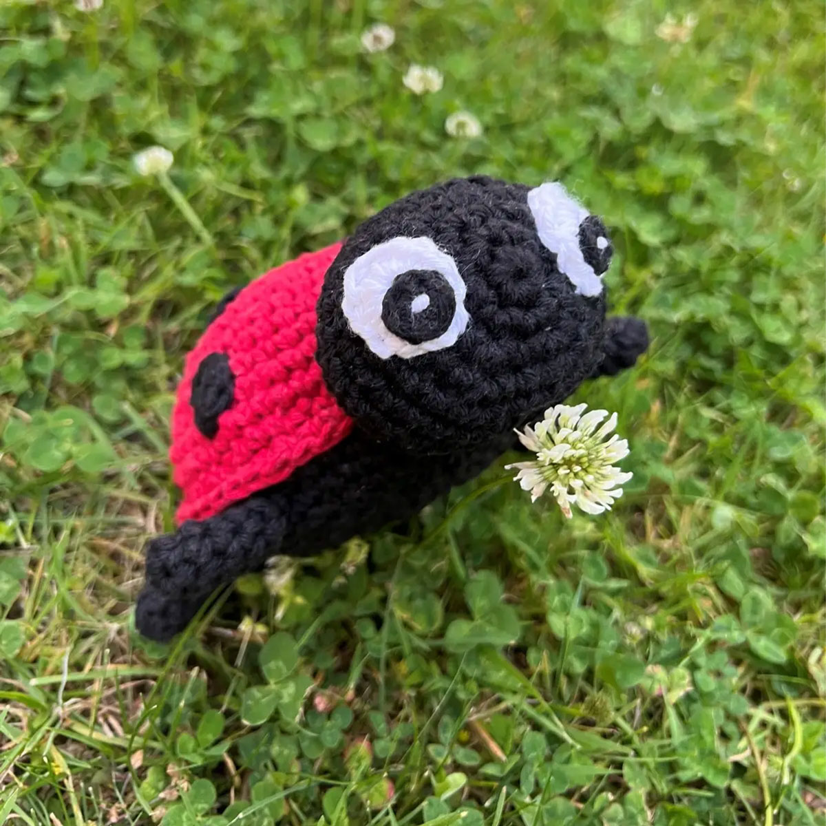 DIY Crochet Kit Ladybird Daisy