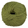 Cascade 220 Superwash Yarn - 1919 Turtle