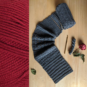 Learn to Craft - Learn to Crochet - Red by Jimmy Beans Wool