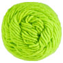 Brown Sheep Lamb's Pride Worsted Yarn - M420 Dragonfly Green