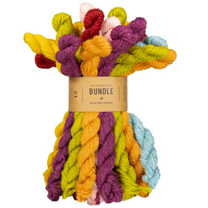 Blue Sky Fibers Woolstok Bundles Yarn - Surprise Party