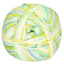 4-Ply Color - 03795 Funky Turquoise and Lime by Regia