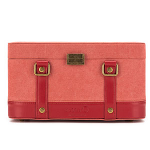 Vintage Louis Vuitton Train Case - Red Rose Paris
