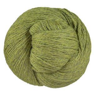 Cascade Eco+ Yarn - 2452 Turtle