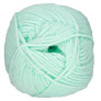 Plymouth Yarn Encore Worsted - 1201 Pale Green