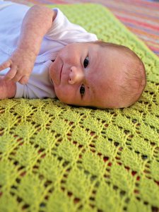 Berroco Modern Cotton Saurey Lace Baby Blanket Kit - Baby and Kids Accessories
