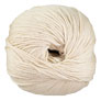 Cascade 220 Superwash - 0228 Frosted Almond