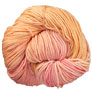 Malabrigo Rios Yarn - 695 Peachy