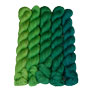 SweetGeorgia Tough Love Sock Party of Five Mini-Skein Set - Emerald