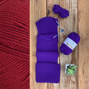 Learn to Craft - Learn to Knit - Red by Jimmy Beans Wool