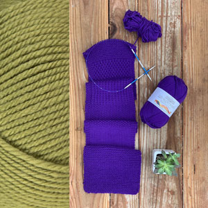 Learn to Craft - Learn to Knit - Blackberry Wine by Jimmy Beans Wool