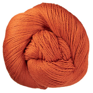 Cascade Eco+ Yarn - 3125 Pureed Pumpkin